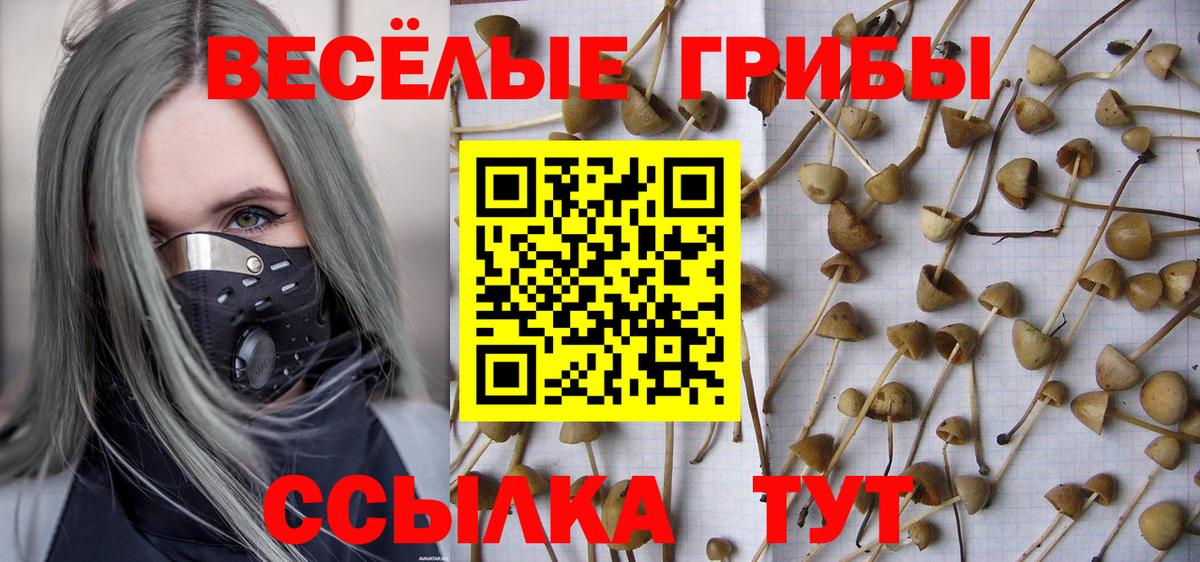 Псилоцибиновые грибы Cubensis Серпухов