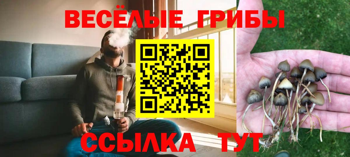 сколько стоит  Вход с VPN  Серпухов  Галлюциногенные грибы мухоморы 